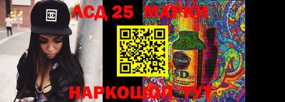 гашик Берёзовский