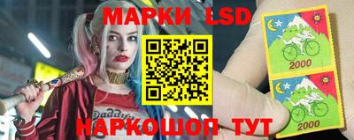 гашик Берёзовский