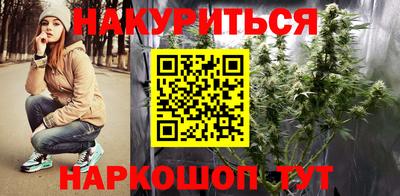 гашик Берёзовский