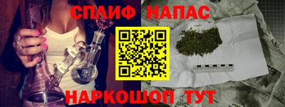 гашик Берёзовский