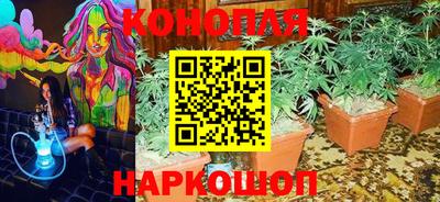 мяу мяу мука Беслан
