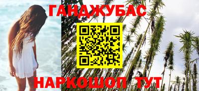 гашик Берёзовский