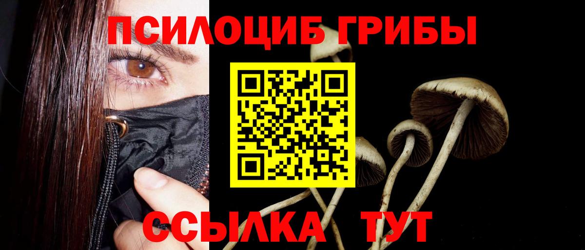 Псилоцибиновые грибы Cubensis  Вход с VPN  Галлюциногенные грибы Cubensis  Клинцы 